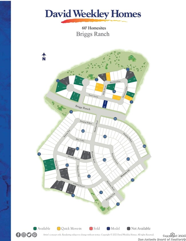 3722 Brentwood Elm, San Antonio, TX 78245 - photo 7