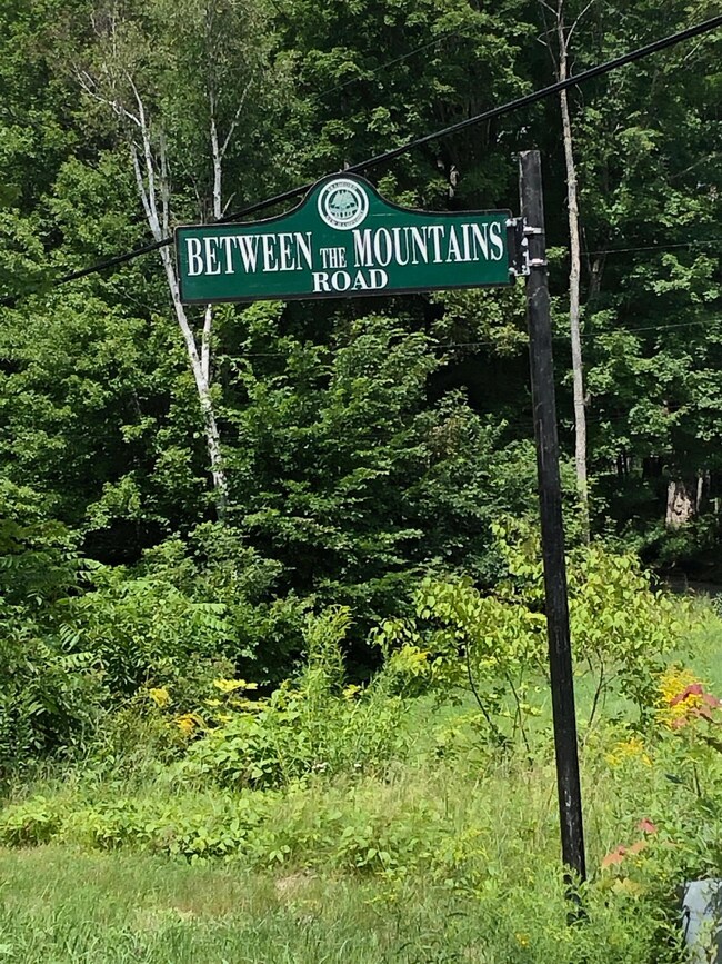 0 Mountain Rd unit 429  Lot 4 4944262, Newbury, NH 03255 - photo 7