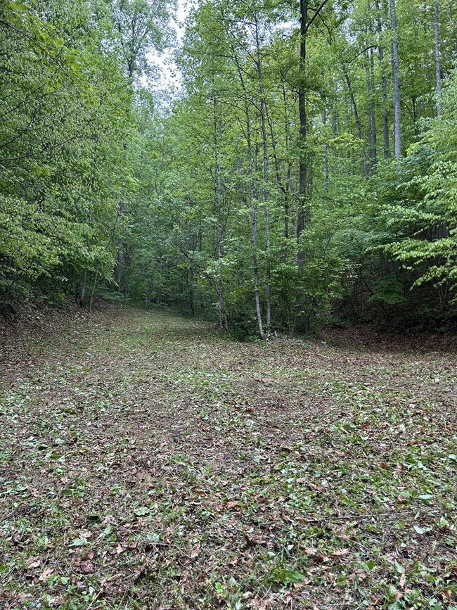 Nice level area