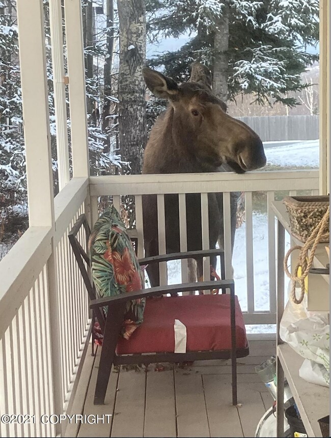 Neighbors