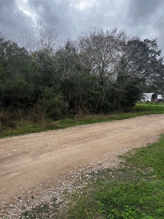 00 Octavo, Brazoria, TX 77422 - photo 2
