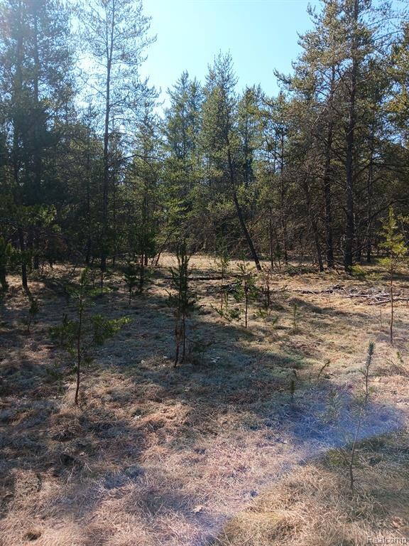 0000 Cedar Creek Rd, Wellston, MI 49689 - photo 7