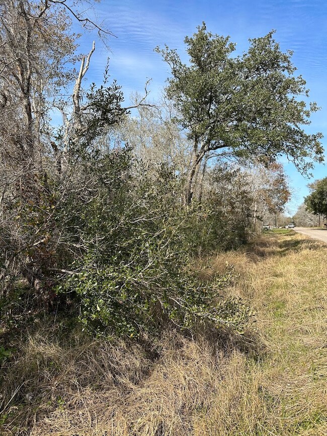 0 County Road 510u, Brazoria, TX 77422 - photo 5