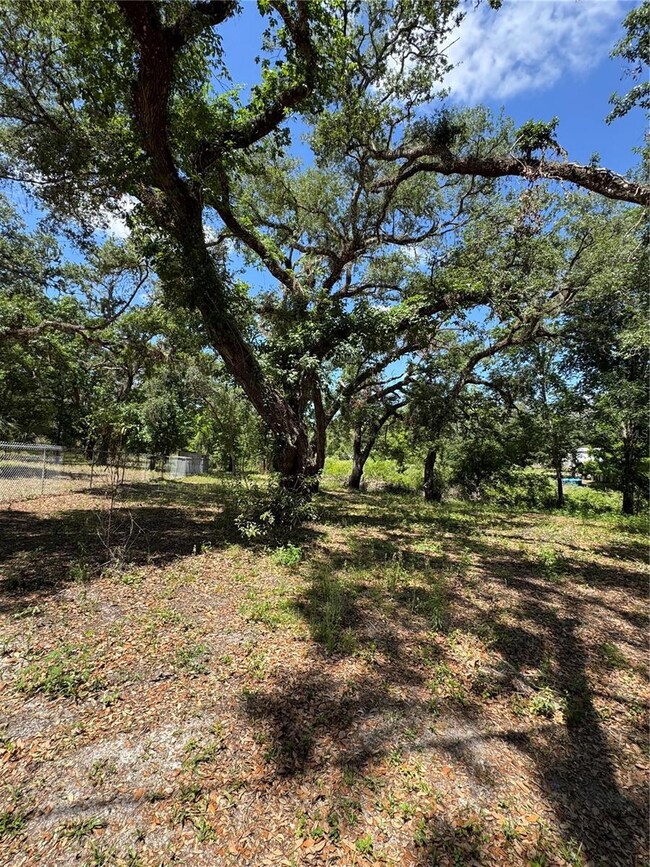 0 Turtle St unit MFRTB8377054, Ridge Manor, FL 33523 - photo 5