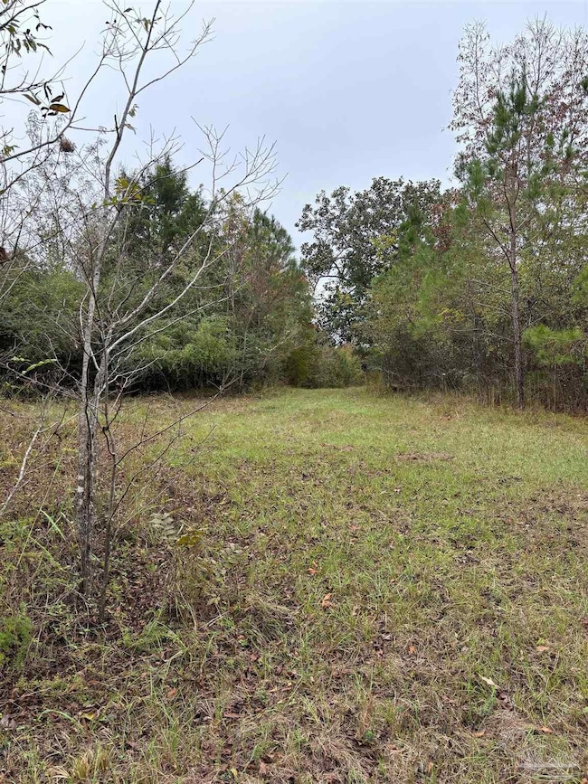 000 Apple Grove Rd, Vredenburgh, AL 36481 - photo 4