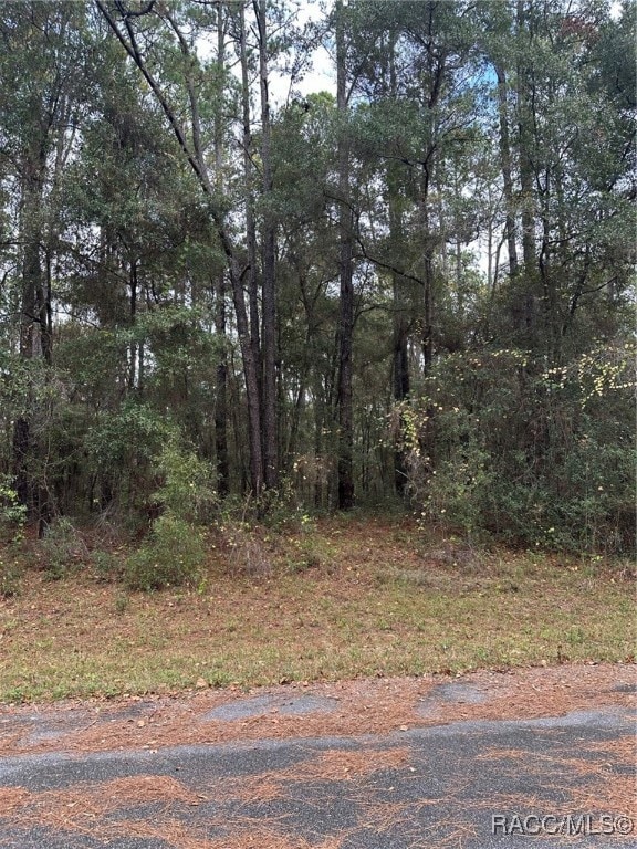 8107 N Floyd Point, Dunnellon, FL 34434 - photo 5