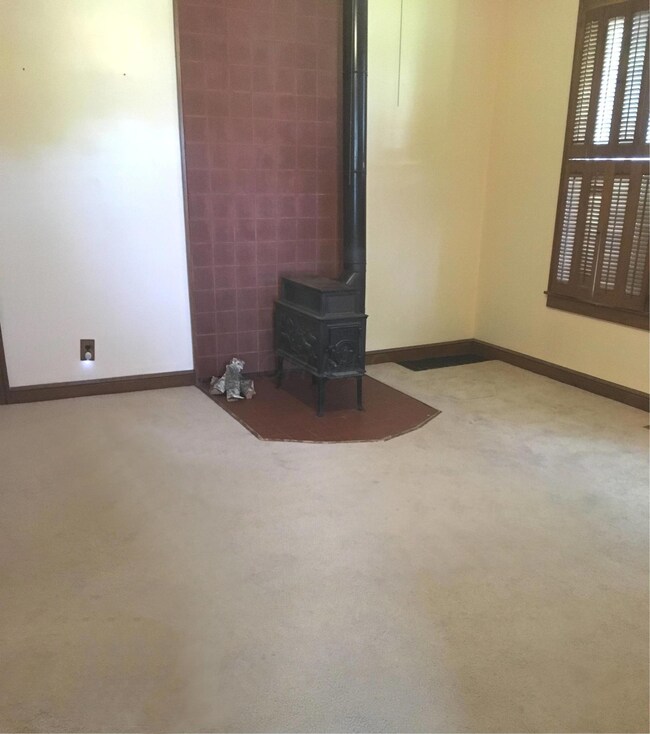 Wood Burning Stove