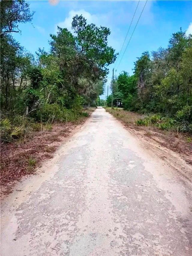 TBD NE 239th Place, Fort Mc Coy, FL 32134 - photo 6