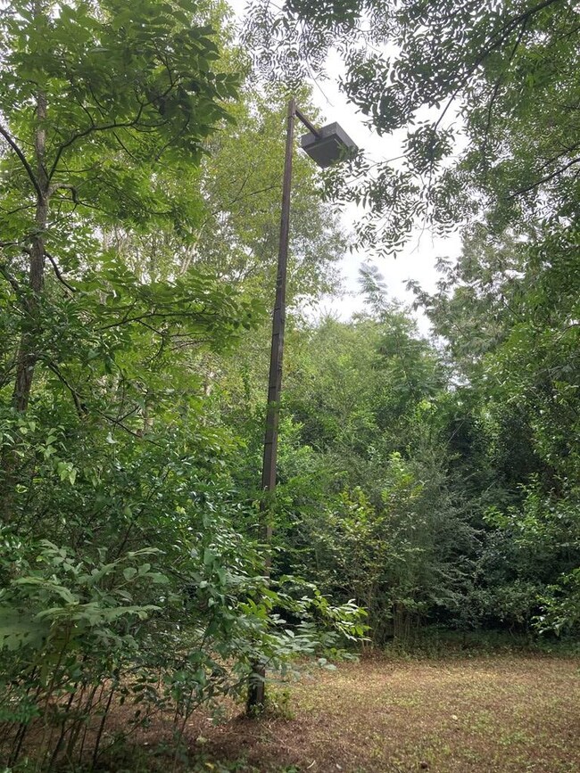 3008 War Eagle Ave, Albany, GA 31705 - photo 5