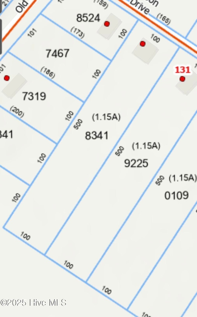 135 W Eason Dr, Rockingham, NC 28379 - photo 5