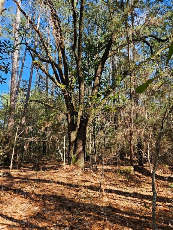 68042 S Strain Rd, Mandeville, LA 70471 - photo 2