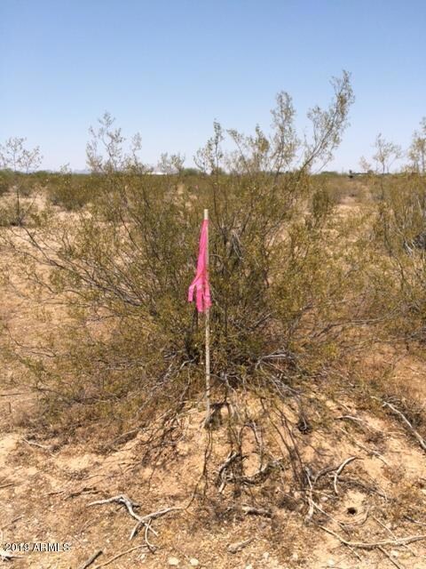 Lot 3-PVC Marker (Corners)