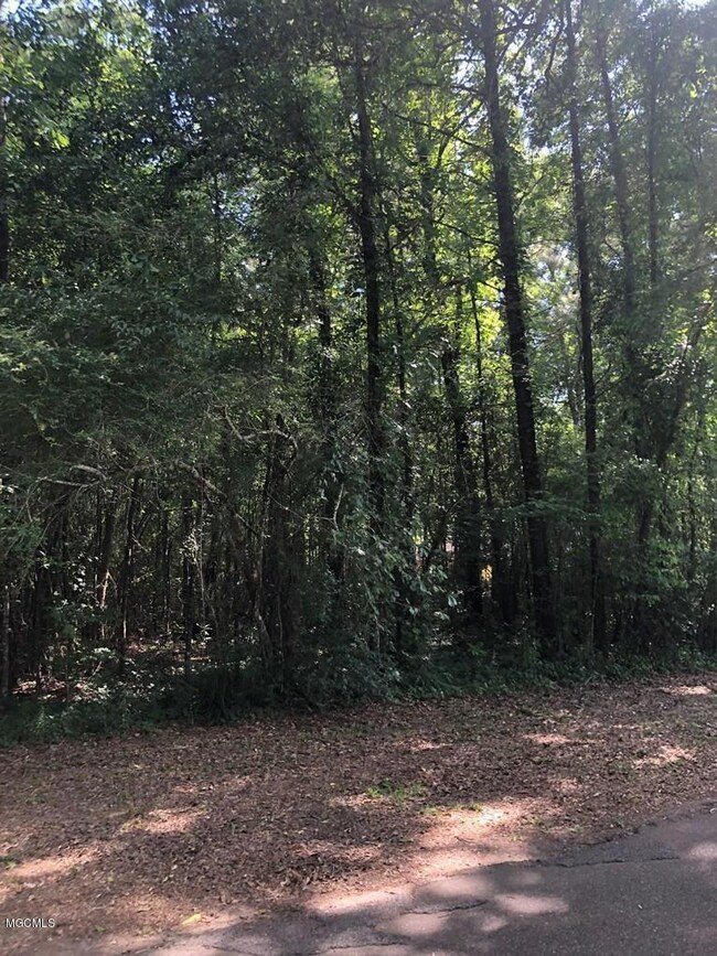 0 Williamsburg Rd, Picayune, MS 39466 - photo 2