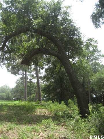 Oaks