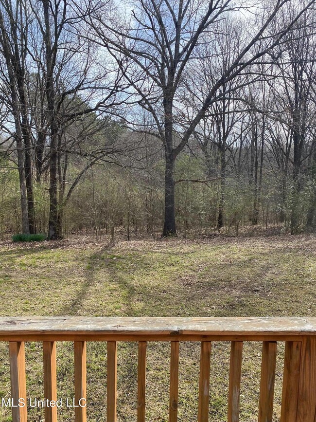 5090 Belmont Rd, Hernando, MS 38632 - photo 5