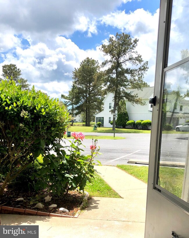 38335 Cardinal Ln unit 156, Selbyville, DE 19975 - photo 6