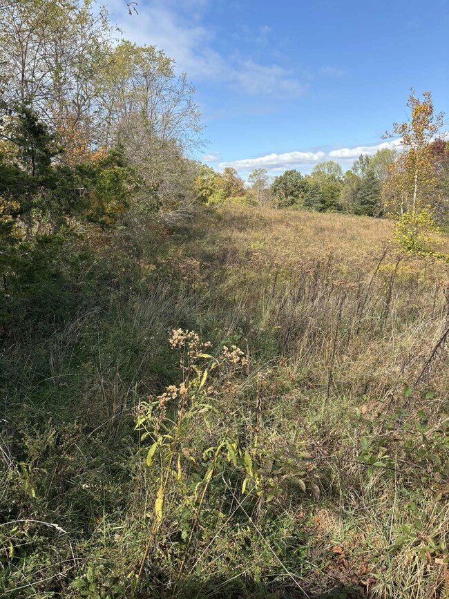 Pine Grove Ch Spur Rd, Vanceburg, KY 41179 - photo 5