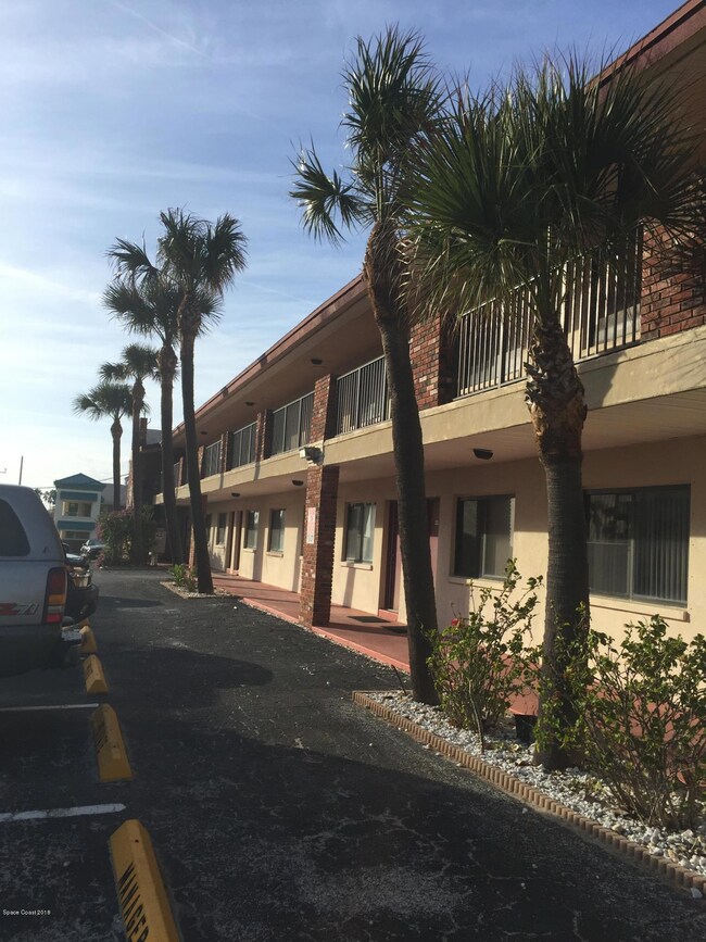 palms-7