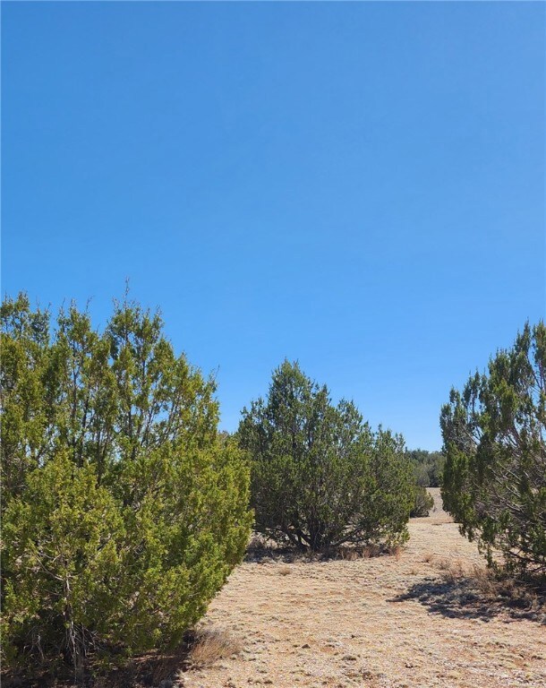 Lot B Roaming Way, Seligman, AZ 86337 - photo 3
