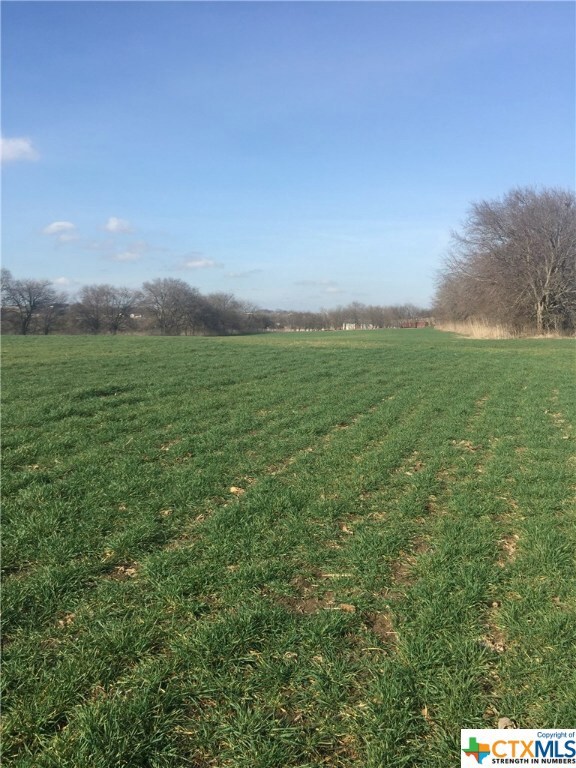 11621 Willow Grove Rd, Moody, TX 76557 - photo 2