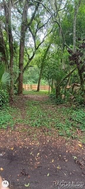 9379 E Tin Pan Aly, Inverness, FL 34453 - photo 7