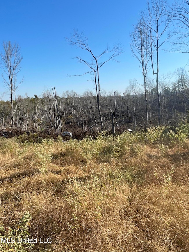 Replanted property 167 Carrroll