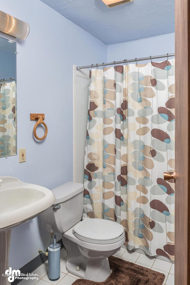 3112 Campbell Airstrip Rd, Anchorage, AK 99504 - photo 6