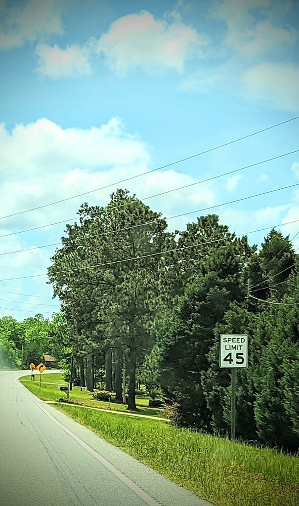 Looking South along HWY 313