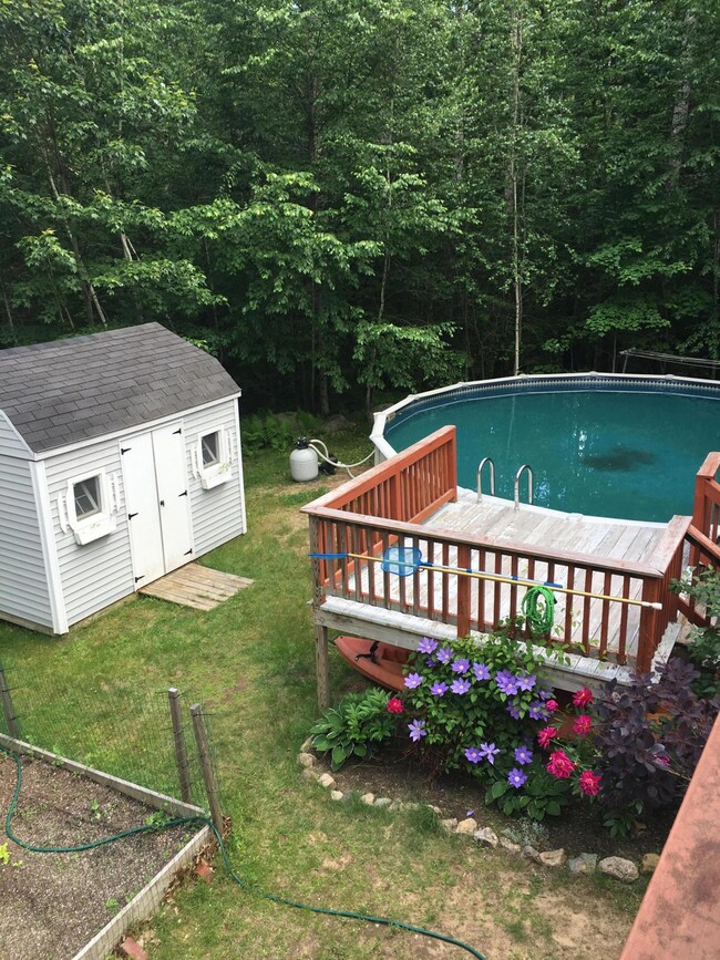 171BelleMarshShedPool