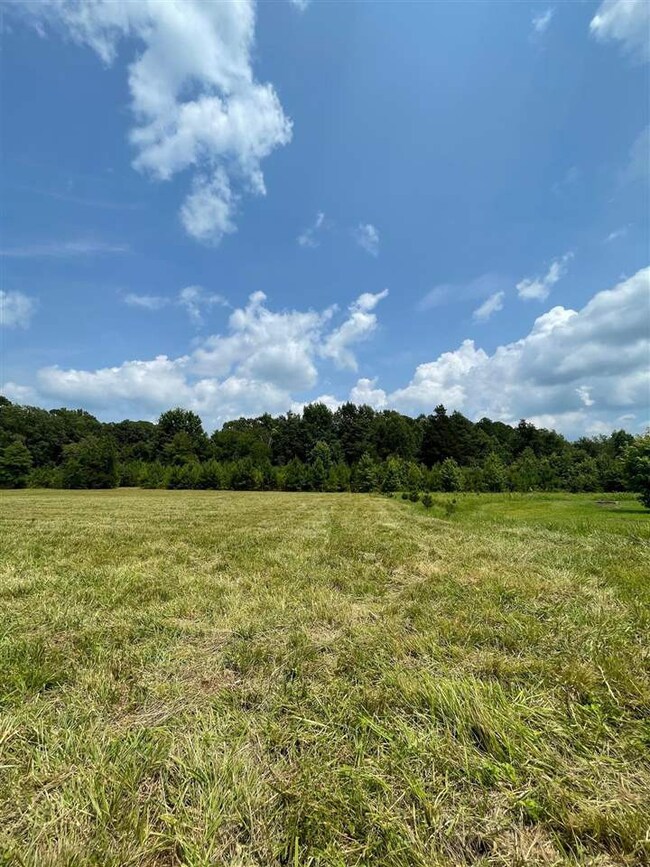 0 Major Lee Rd unit 2399656, Center, NC 27312 - photo 4