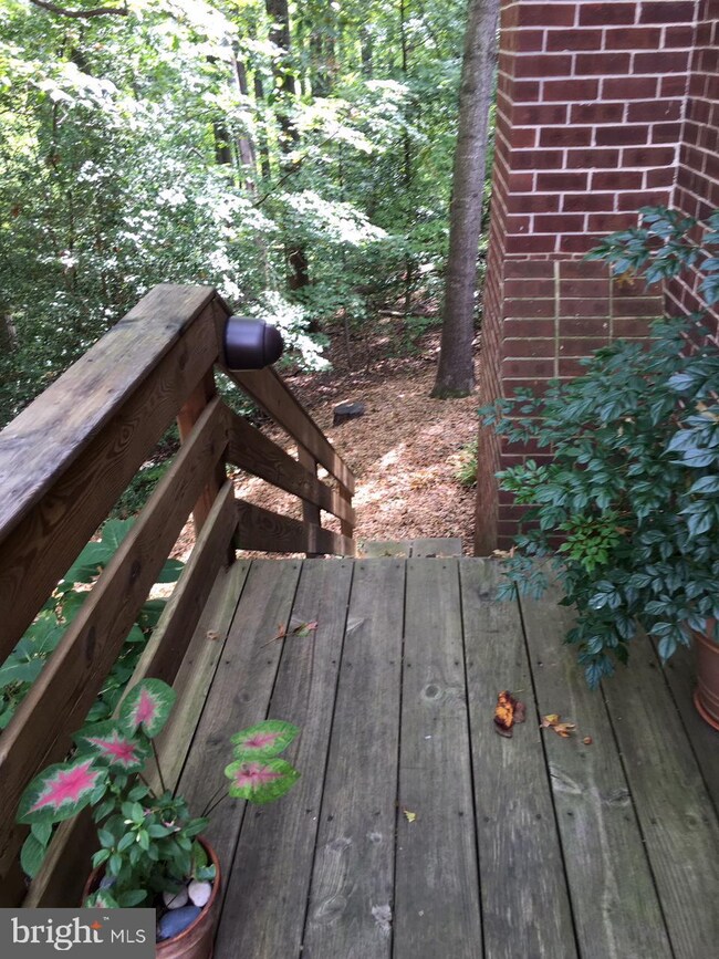 11506 Pine Cone Ct, Reston, VA 20191 - photo 3