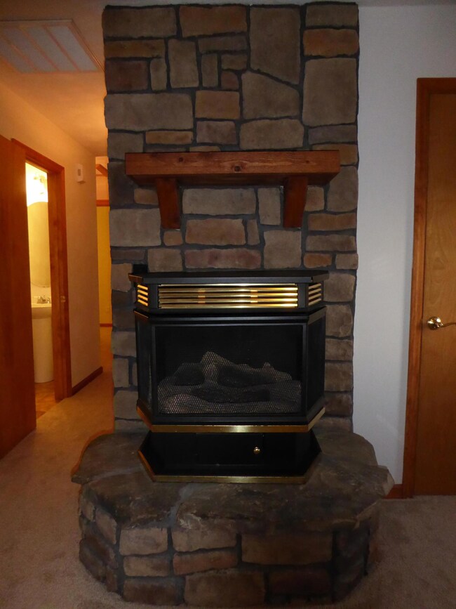 Living Room Fireplace