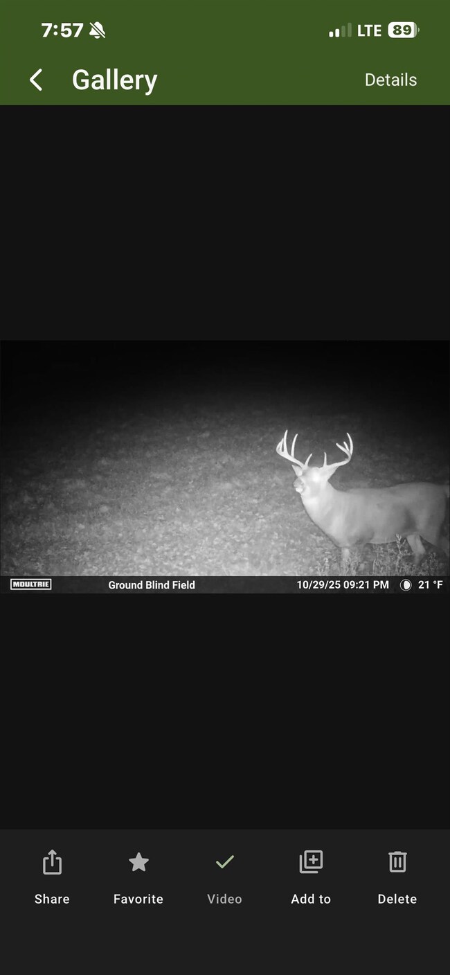 02 State Highway 45, Birnamwood, WI 54414 - photo 7