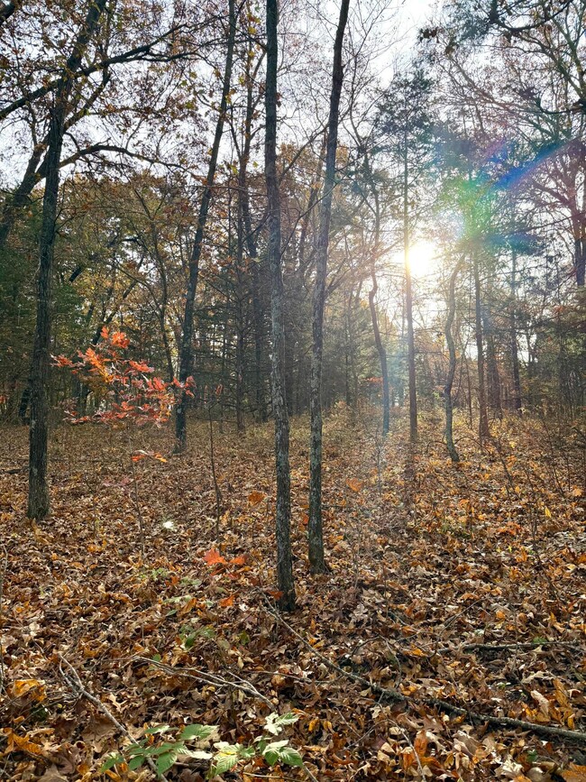 005 E 1650 Rd, Stockton, MO 65785 - photo 6