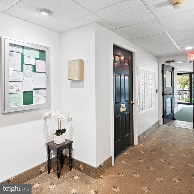 136 Brandon Rd, Norristown, PA 19403 - photo 5