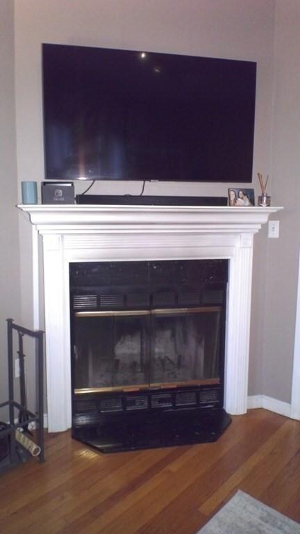 84 W Concord St unit 5, Boston, MA 02118 - photo 5