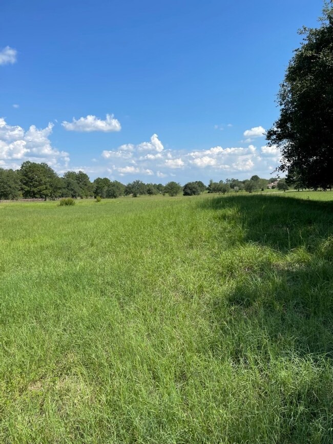 300 Meadow Lake, Magnolia, TX 77355 - photo 5