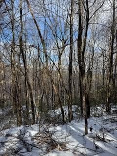 18N Bear Paw Rd, Jasper, GA 30143 - photo 4