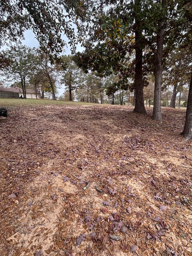 TBD Susan St, Liberty City, TX 75647 - photo 3