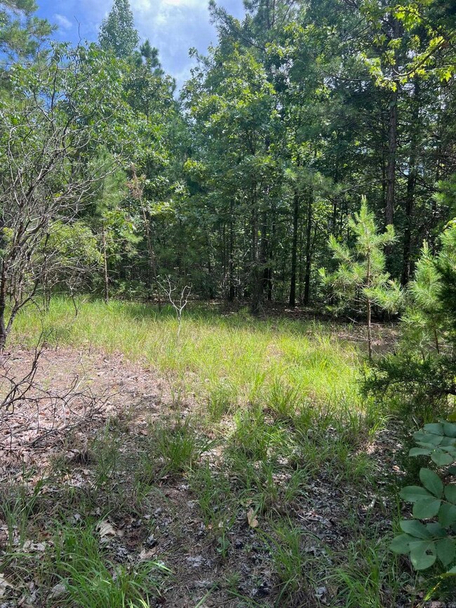 0000 Burnt Ridge Rd, Shirley, AR 72153 - photo 4