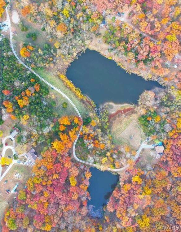 0 Overlake Cir unit MIS25075896, Marthasville, MO 63357 - photo 5