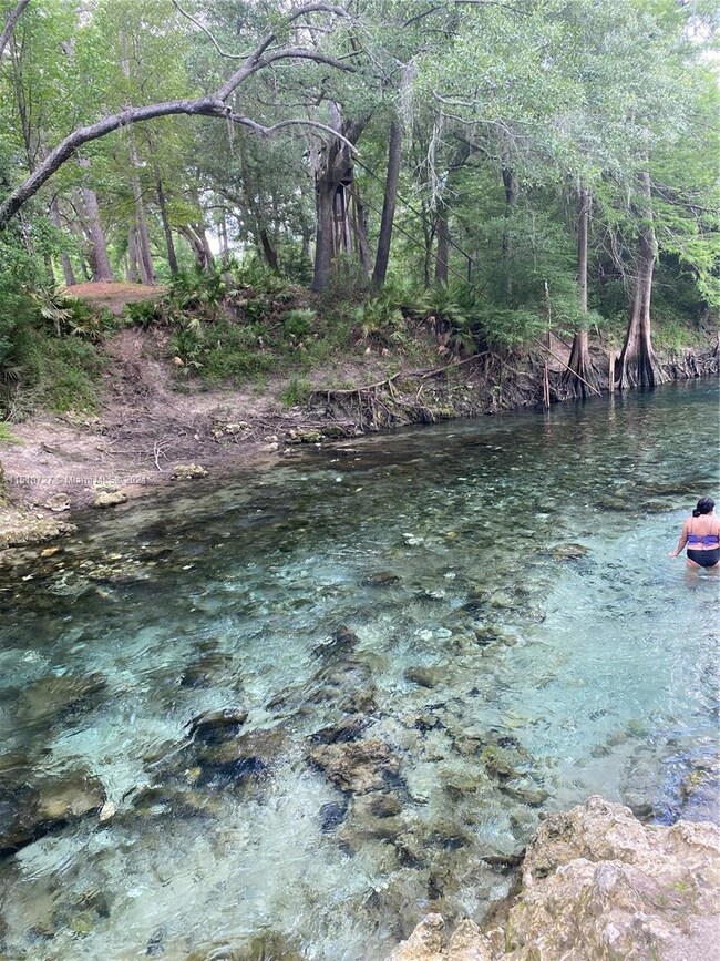 Madison blue spring