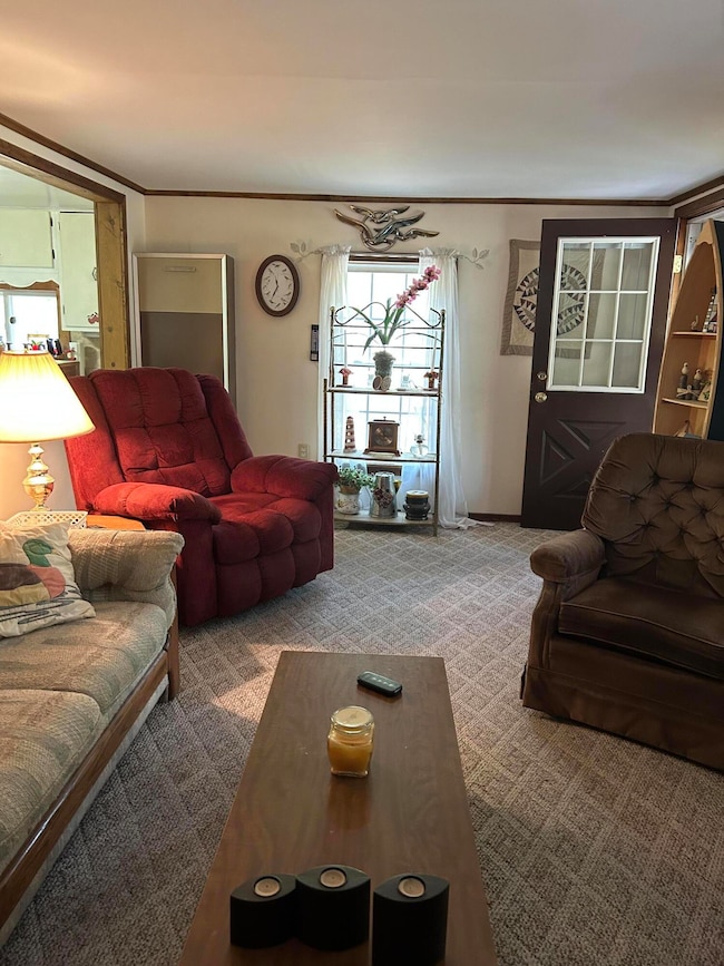 8829 W Central Park Blvd, Baldwin, MI 49304 - photo 6