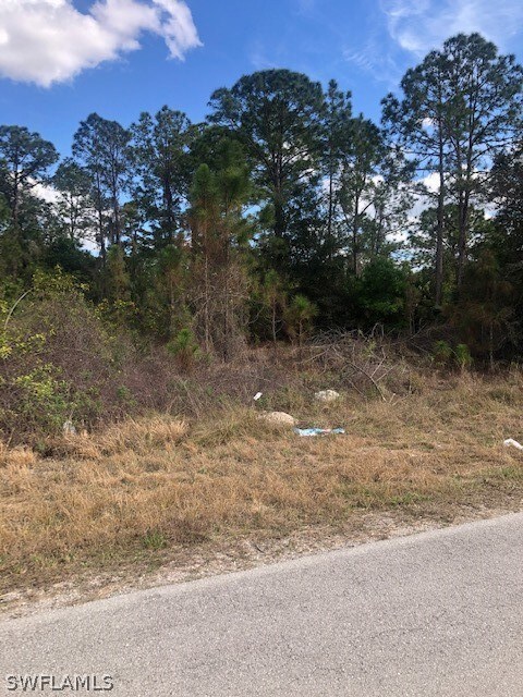 2110 Robert Ave, Alva, FL 33920 - photo 6