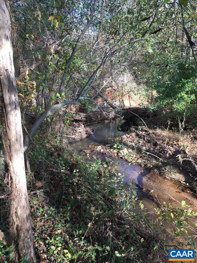 0 Dick Woods Rd unit 632158, Charlottesville, VA 22903 - photo 4