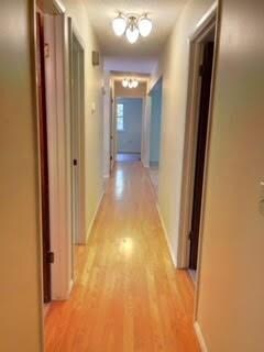 New floors