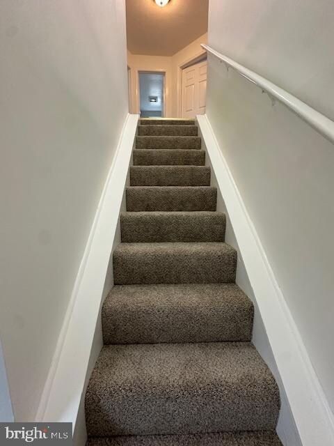 2510 Weisman Rd, Silver Spring, MD 20902 - photo 5