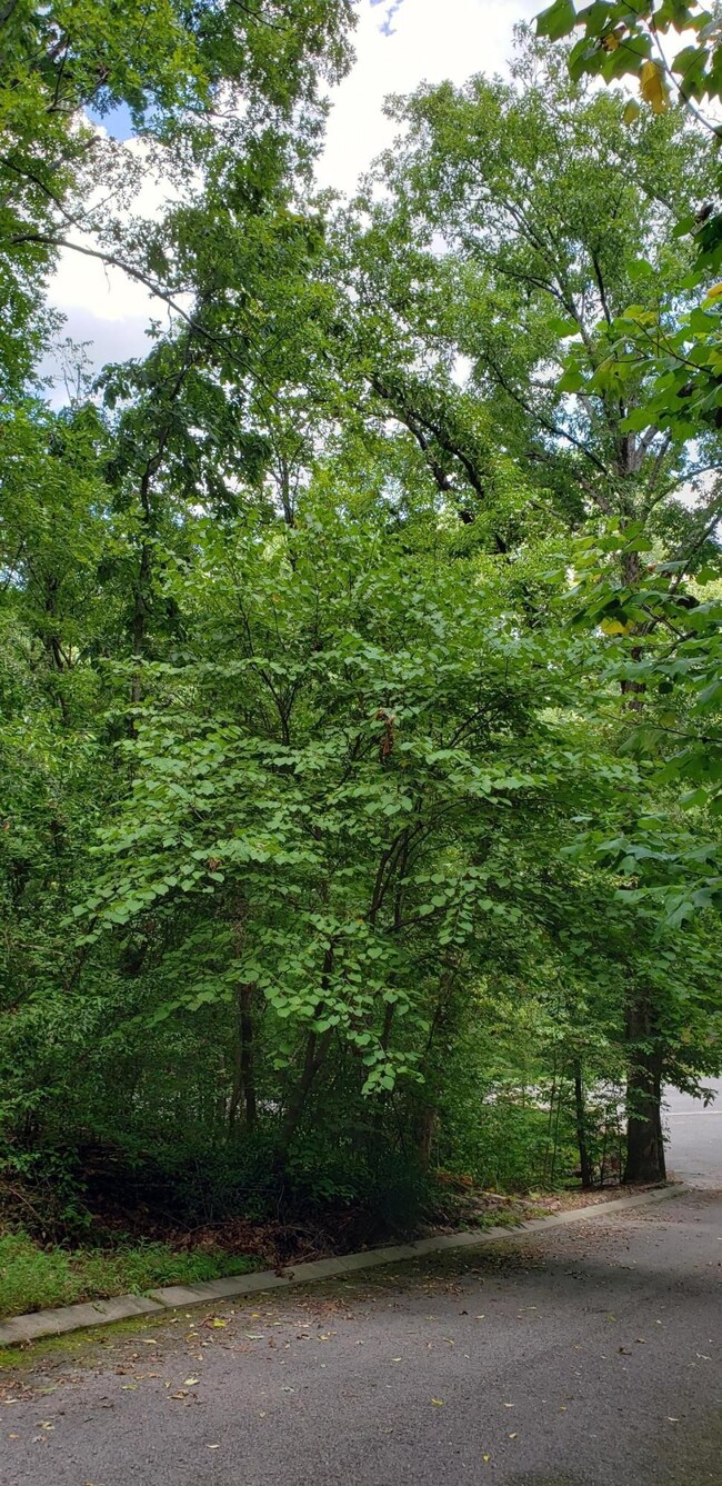 0 Shady Oaks Cove unit RTC2720331, Dunlap, TN 37327 - photo 6