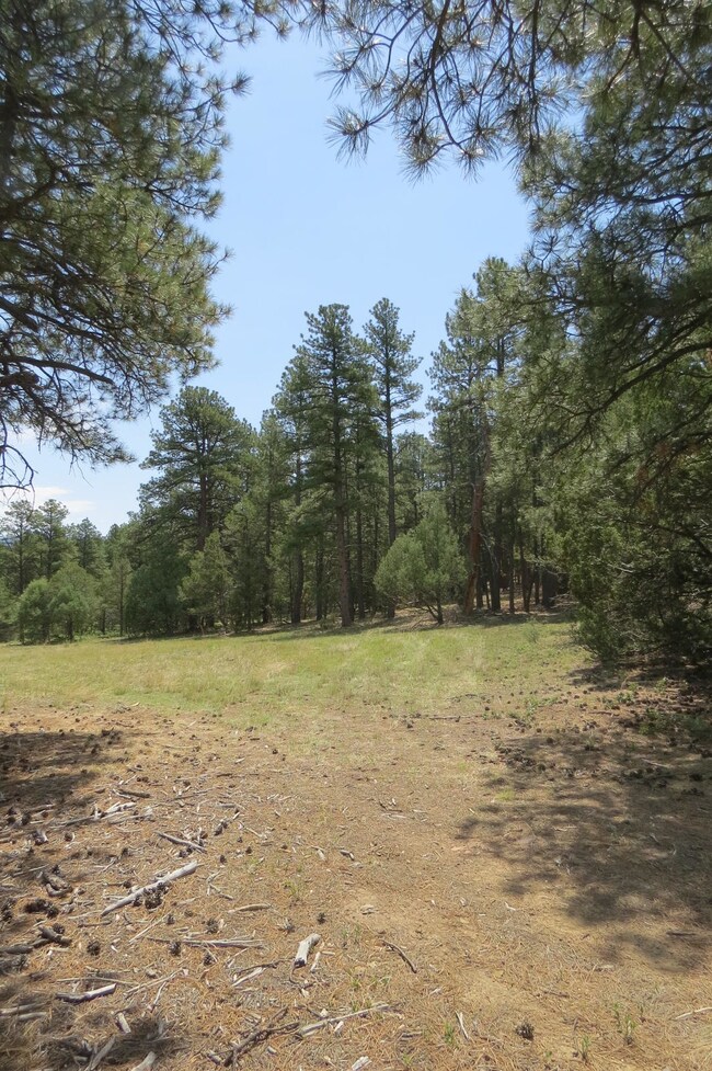 33260 Turkey Creek Ln unit Parcel B50, Trinidad, CO 81082 - photo 5