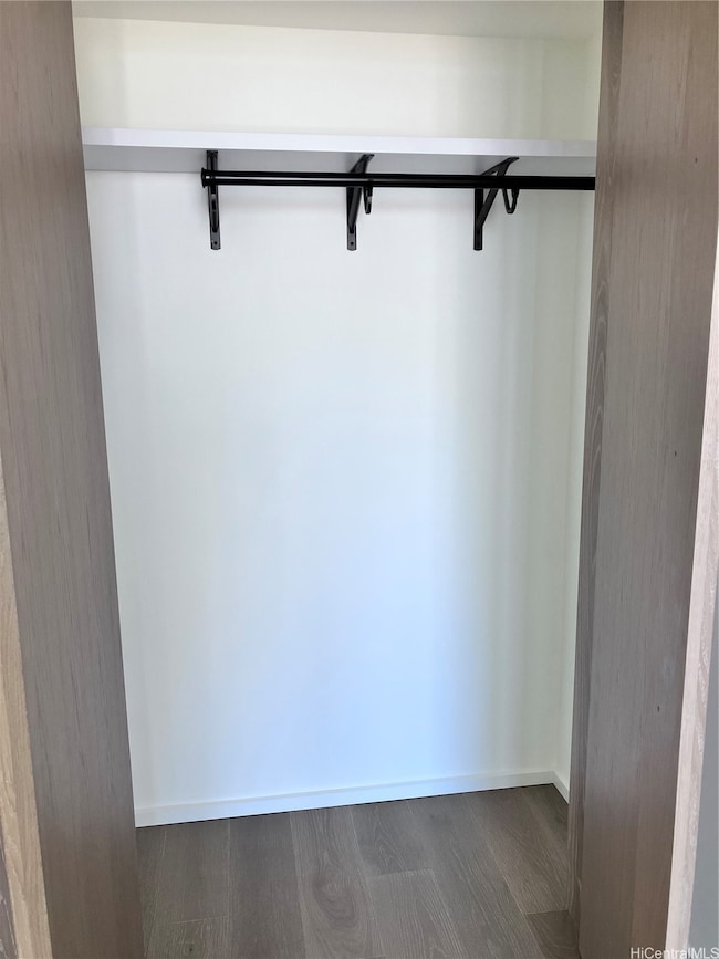 Closet/Storage in the Living Room